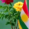 kurdbun65