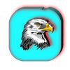 abdimultimedia