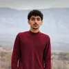 shazad.nariman