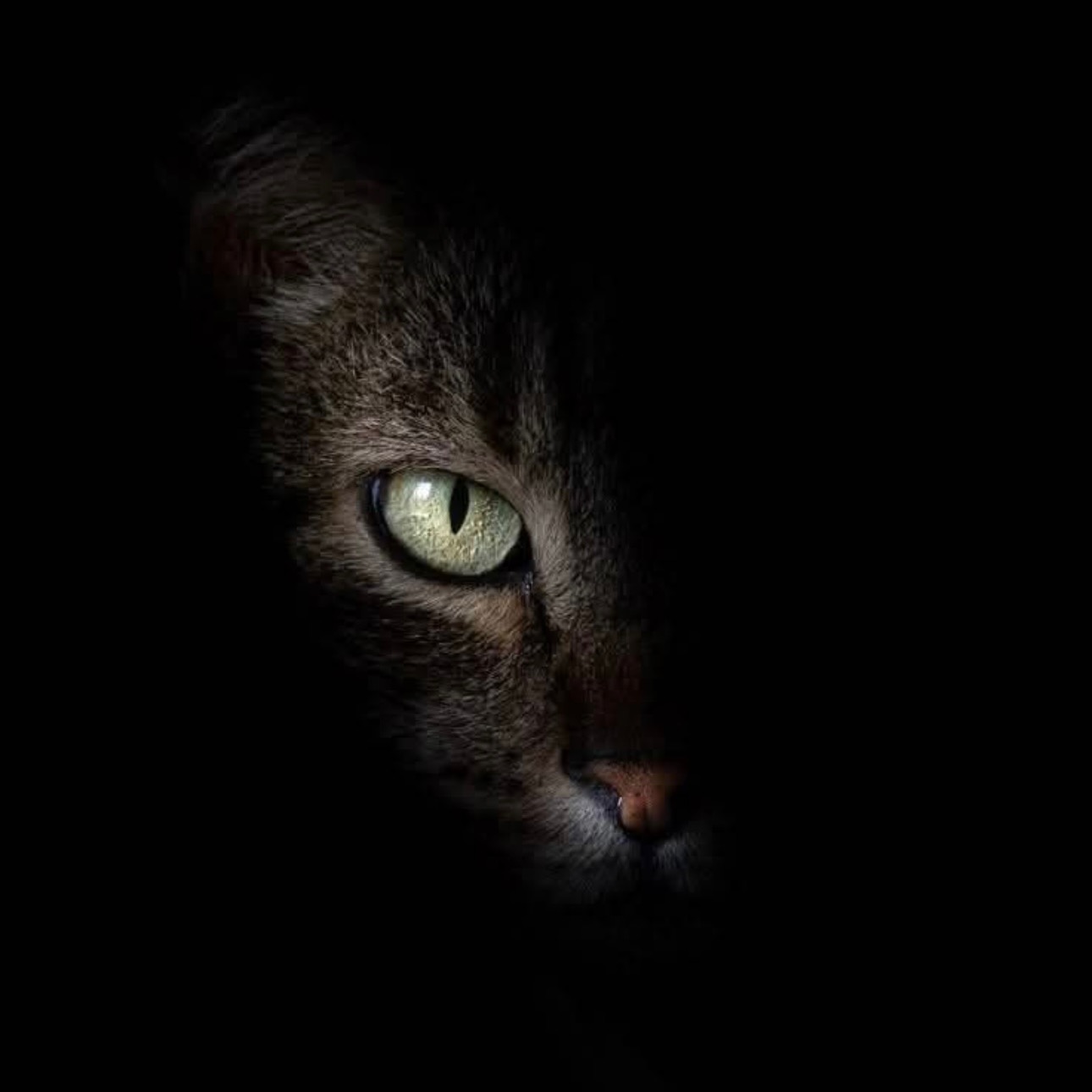 luna.virgo09