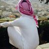 majed8859