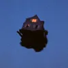 mayouwsnail