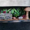dmut.diorama