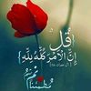 sisiihajj