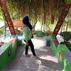 ernaamalia3