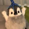 bilaqq_ajaaq