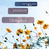 om_ali_omar