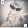 ka_ss102