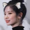 kimdubu29