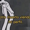 dani_ezcarsaga