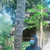 iboy1526