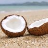 cocosebaniy