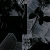 hanaibrahim136