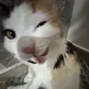 tsm.e