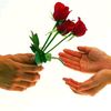hajimumtaz869073758371