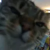 tri.tri.2