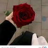 user4756006589564