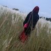 imrosealex