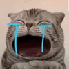 buihaidang27_5