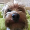 milan4kasq