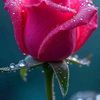 md.abdul.mojid15