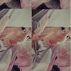 kubill_kudill
