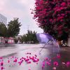 salman_5051