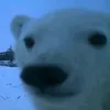yowhatisthatusernam3