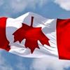 canadiantireman