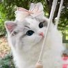 snowi0814