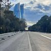 _yasar__855__