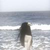 s_oul23