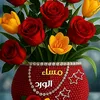 albahar242