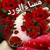 dy51gsn5y1x2