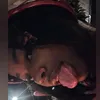 ferreiro_rochee