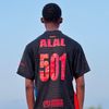 alal_capricorne_501