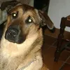 maliane44