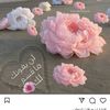 user5022391275661