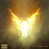 bvdreligion