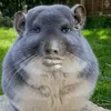 arthur.xit9