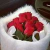 user4907958208790