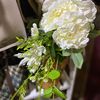 guom_23