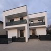 andreipopescu3577