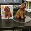 mi_mi_7979