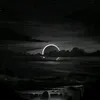 fen_nel18