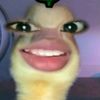 cegilnya_noelll