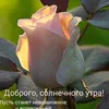 user9475031206105
