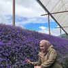 azi_7281