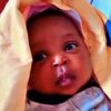 clawy_wa_bills256