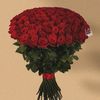 maryumtauseef753